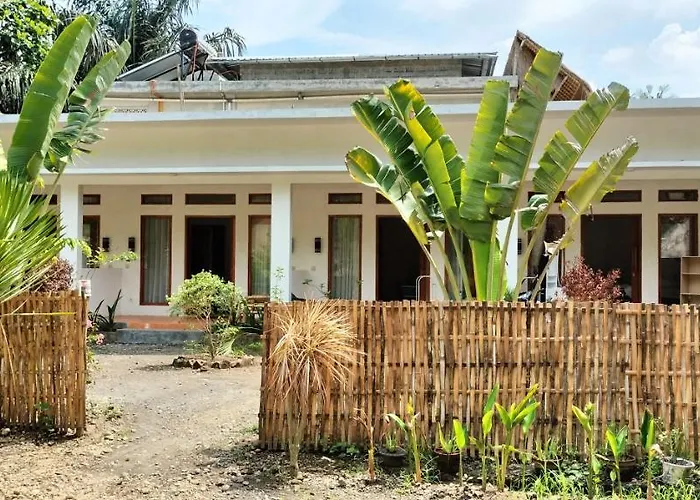 Ebucu