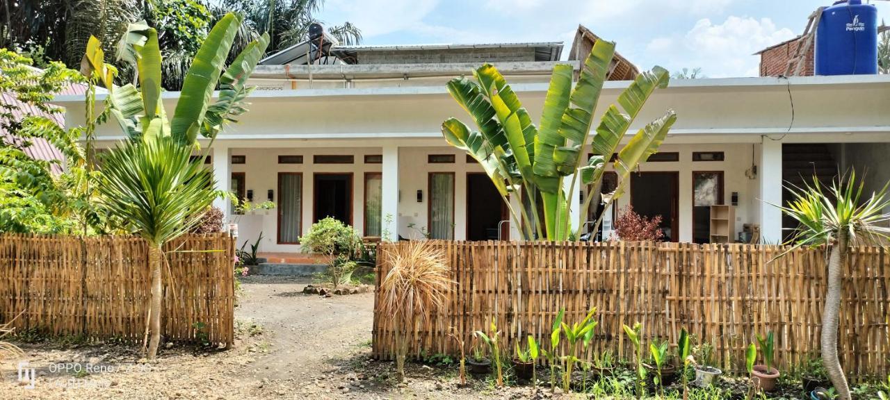 Ebucu Kuta (Lombok)